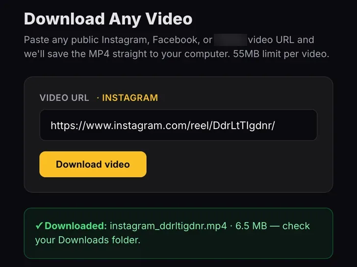 The Downloader: paste a public Instagram or Facebook video link and save the video as an MP4