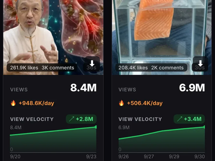 Video cards showing total views, views gained per day and a chart of each video's view growth